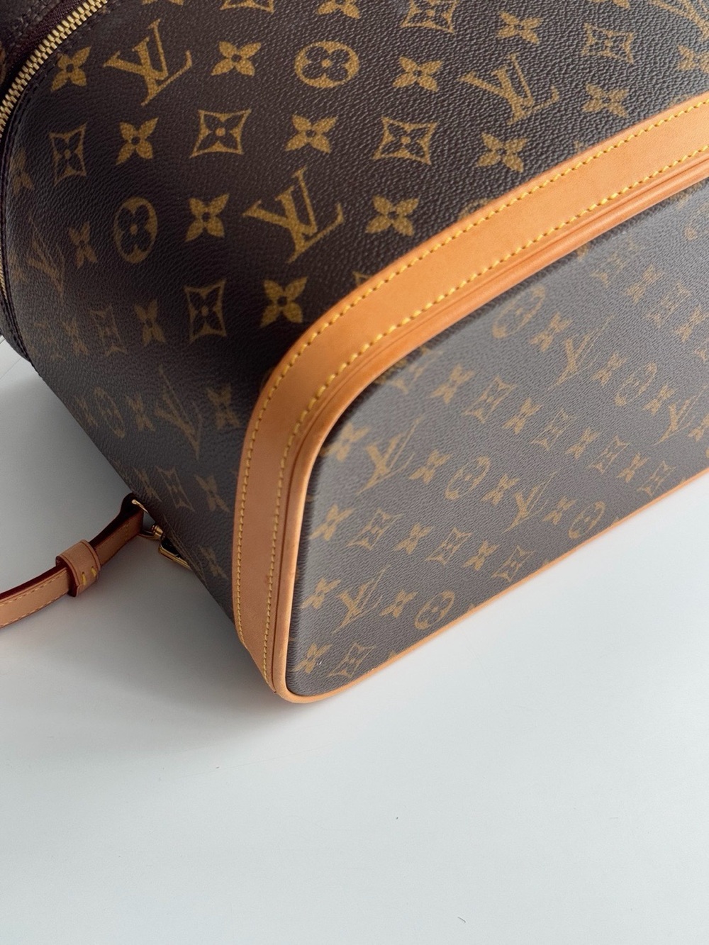 Louis Vuitton Monogram Canvas Nice Vanity - Picture 6 of 11